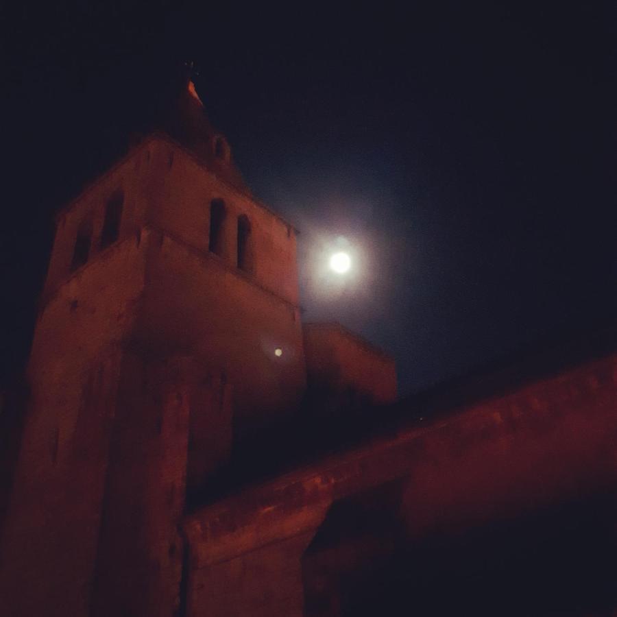 Les Mirabelles Chambres D'Hotes Sisteron Exterior foto